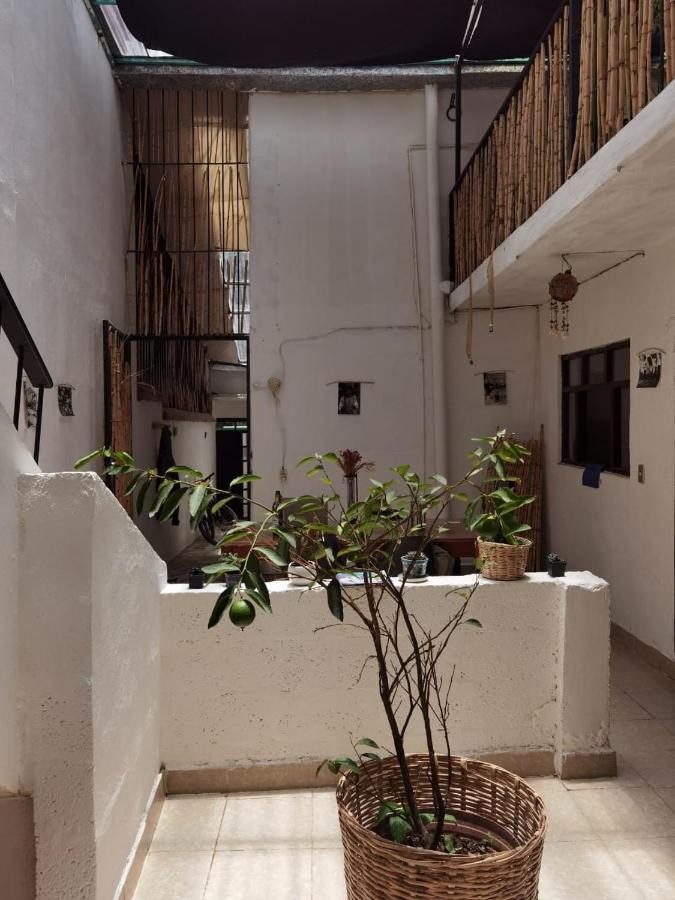 El Rinconcito De San Cris Hotel San Cristóbal de Las Casas Eksteriør billede